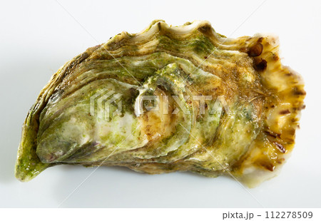Image of tasty raw closed oysters on white background Image of tasty raw closed oysters on white background 112278509
