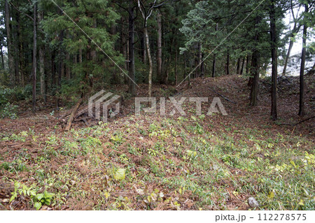 川崎要害 搦手虎口跡の土塁 川崎要害 搦手虎口跡の土塁 112278575