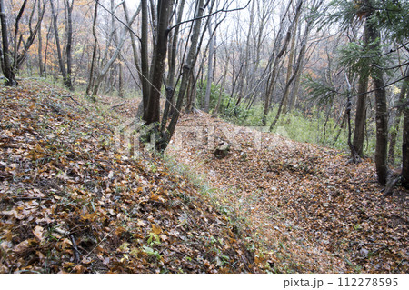 上楯城　二ノ丸空堀 112278595