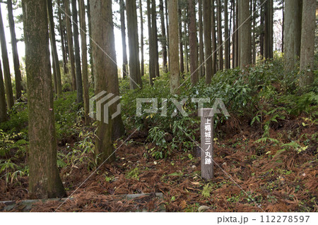 上楯城　三ノ丸跡 112278597