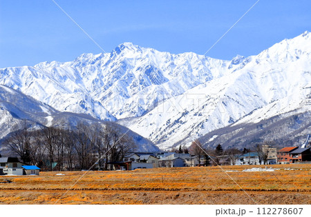 3月の白馬村からの北アルプス　　　信州の山々　　　信州の風景　　　信州の自然 112278607