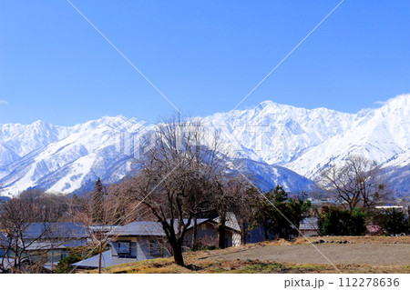 3月の白馬村からの北アルプス 信州の山々 信州の風景 信州の自然 3月の白馬村からの北アルプス 信州の山々 信州の風景 信州の自然 112278636