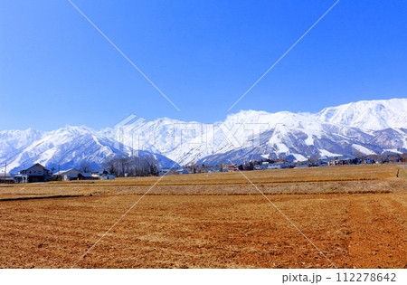 3月の白馬村からの北アルプス　　　信州の山々　　　信州の風景　　　信州の自然 112278642