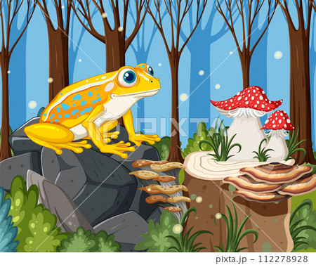 Colorful Frog in Enchanted Forest Scene 112278928