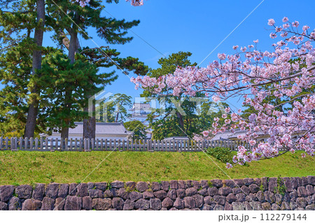 桜咲く神奈川県小田原市の小田原城の東側の外堀から馬屋曲輪と銅門越しに小田原城天守閣方面 桜咲く神奈川県小田原市の小田原城の東側の外堀から馬屋曲輪と銅門越しに小田原城天守閣方面 112279144