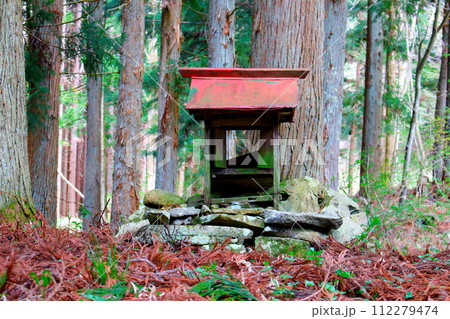 信州の神社と石碑と祠 112279474