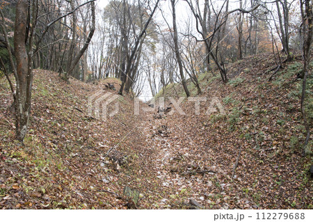 前川本城 二の丸巨大空堀 前川本城 二の丸巨大空堀 112279688