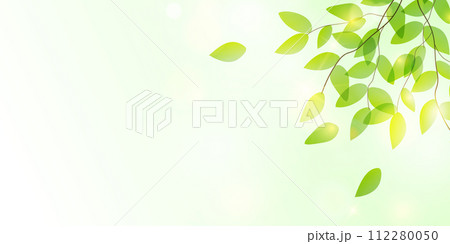 新緑　葉　風景　背景 112280050