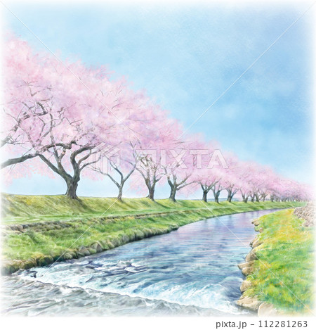 桜並木と小川のイラスト素材 [112281263] - PIXTA
