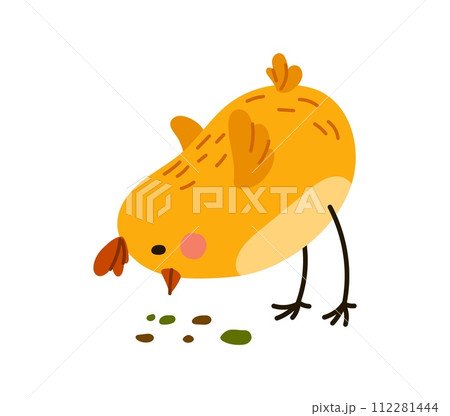 Cute chick cartoon character peck grains. Isolated vector baby rooster bird personage tapping seeds with its tiny beak on livestock or farm. Playful, adorable chickling with fluffy feathers feeding 112281444