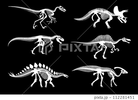 Dinosaur fossil skeletons and Jurassic dino bones imprints, vector white silhouettes. Dinosaur archeology fossil skeletons of extinct reptile, T-rex tyrannosaurus or velociraptor and stegosaurus bones 112281451