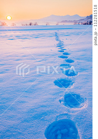 新潟県小千谷市 朝焼けに染まる雪田・日の出・越後三山 新潟県小千谷市 朝焼けに染まる雪田・日の出・越後三山 112281518