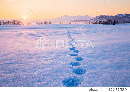 新潟県小千谷市 朝焼けに染まる雪田・日の出・越後三山 新潟県小千谷市 朝焼けに染まる雪田・日の出・越後三山 112281520