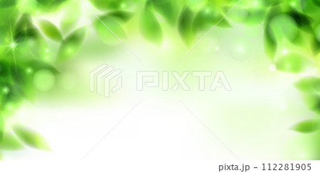新緑　葉　風景　背景 112281905