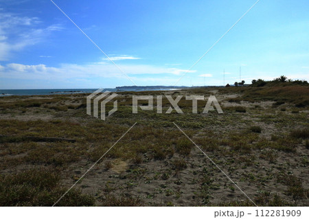 夷隅川河口右岸の砂浜 112281909