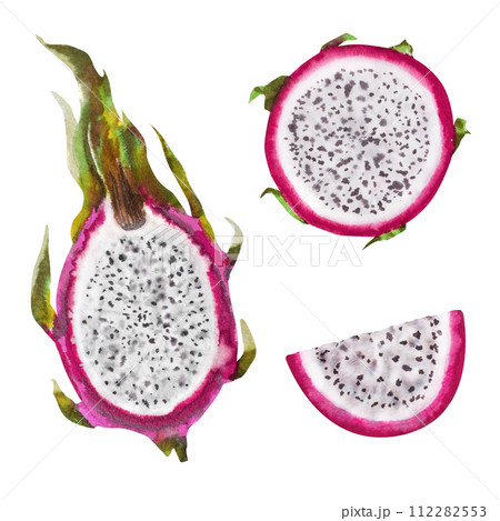 Watercolor illustration of red dragon fruit, half pitahaya with slices. Botanical composition for vegetarian exotic products, prints, stickers Watercolor illustration of red dragon fruit, half pitahaya with slices. Botanical composition for vegetarian exotic products, prints, stickers 112282553