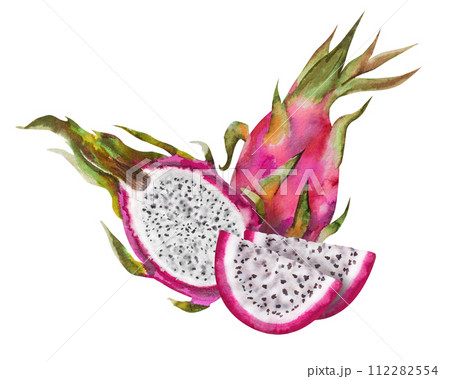 Watercolor illustration of red dragon fruit, half pitahaya with slices. Botanical composition for vegetarian exotic products, prints, stickers 112282554