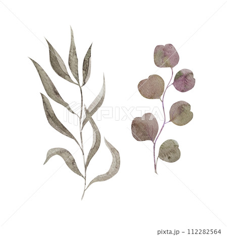 watercolor illustration Eucalyptus greenery,foliage, natural leaves and branches,hand drawn watercolor illustration Eucalyptus greenery,foliage, natural leaves and branches,hand drawn 112282564