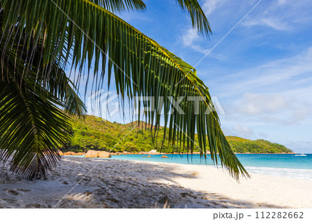 Coastal view with coconut palm trees and white sand under blue cloudy sky on a sunny day 112282662
