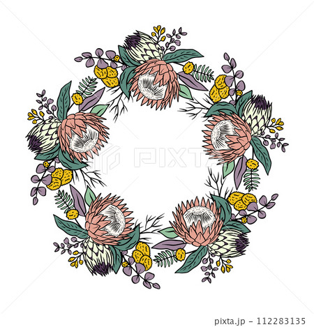 Hand drawn colorful line art tropical protea flower round frame Hand drawn colorful line art tropical protea flower round frame 112283135