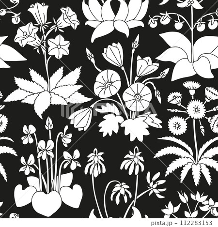 Black and white seamless pattern with canary islands flowers 112283153