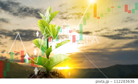 Plant growing with increases in profitability graph 112283636