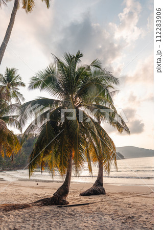 Beach and palm trees in the morning on the island 112283906