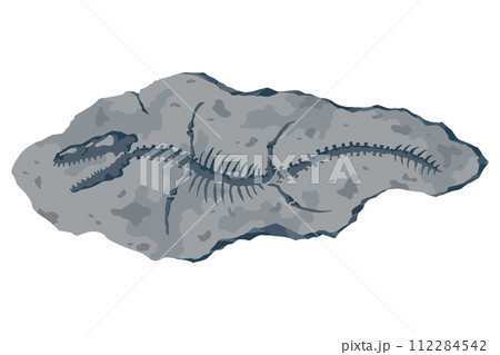 Archeology fossil stone with print of Jurassic dinosaur bones. Archeology reptile footprint, bone. Cartoon vector illustration 112284542
