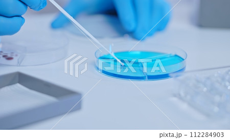 Hands of lab technician planting bacteria in petri dish, experiment, close-up 112284903