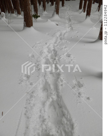林の中 雪上の足跡 かんじき 林の中 雪上の足跡 かんじき 112284942