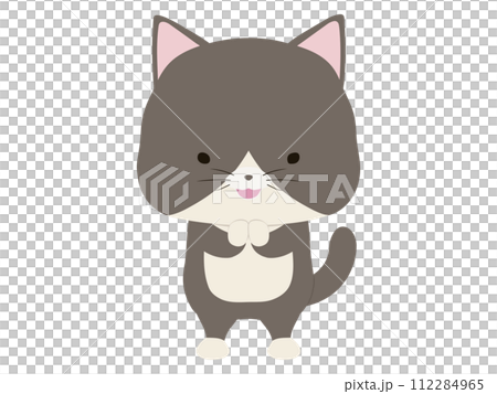 一隻微笑著崇拜的蜂貓 112284965