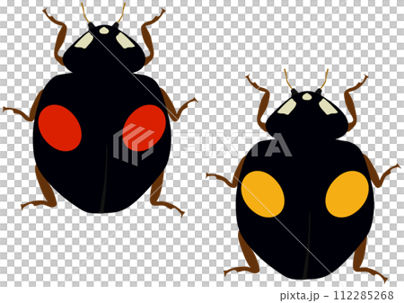 益蟲「奈米瓢蟲」2圖案，黑底紅2圖案，黑底黃圖案2，2隻動物，垂直排 112285268
