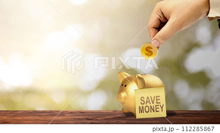Business hand put golden dollar coins into the piggy bank with notepaper with 'save money' text Business hand put golden dollar coins into the piggy bank with notepaper with 'save money' text 112285867