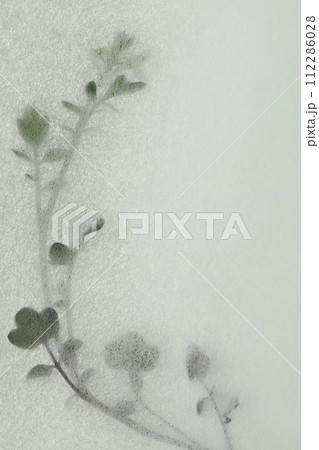 和紙とタネツケバナのコラボ（背景素材） 112286028