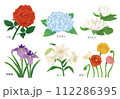 水彩風6月の花のイラスト 112286395