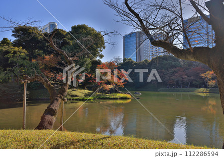 landscape with abandoned foliage reflecting on lake Nov 29 2023 landscape with abandoned foliage reflecting on lake Nov 29 2023 112286594