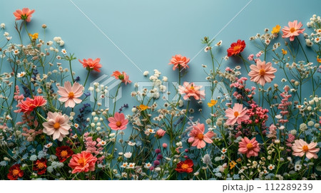 Pink Flowers on Blue Background 112289239