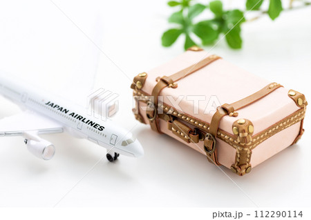 旅行バックのトランクと飛行機 旅行バックのトランクと飛行機 112290114
