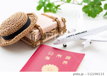 旅行バックのトランクと飛行機とパスポート 旅行バックのトランクと飛行機とパスポート 112290115