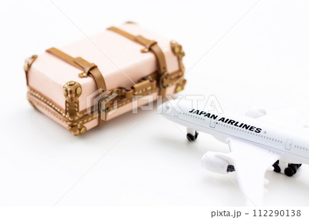 旅行バックのトランクと飛行機 旅行バックのトランクと飛行機 112290138