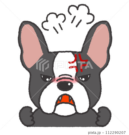 怒っている表情のフレンチブルドッグのイラスト 怒っている表情のフレンチブルドッグのイラスト 112290207