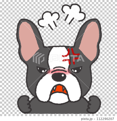 怒っている表情のフレンチブルドッグのイラスト 怒っている表情のフレンチブルドッグのイラスト 112290207