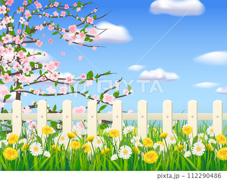 Spring landscape field green grass, blooming tree, daisy, dandelion flowers, white fence, clouds 112290486