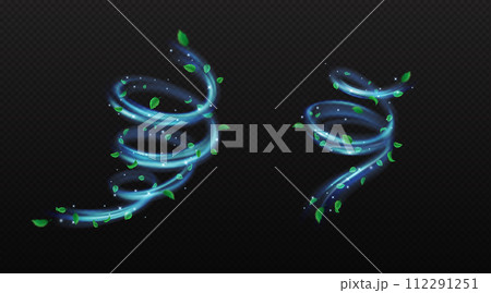 Spiral air flows with leaves and glitter vector image set 112291251