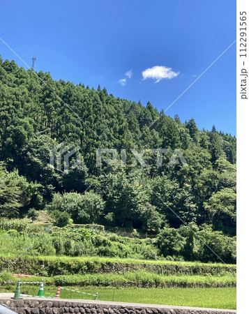 田舎の森 晴天 田舎の森 晴天 112291565