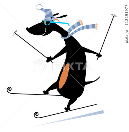 Dog a skier illustration. Cartoon dachshund is skiing isolated on white background Dog a skier illustration. Cartoon dachshund is skiing isolated on white background 112291977