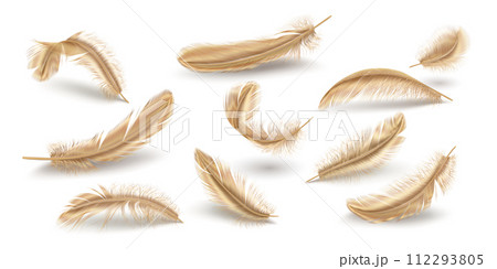 Golden scattered feathers realistic vector illustration set 112293805