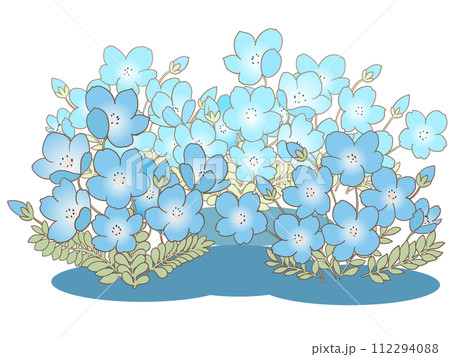 ネモフィラの花 112294088