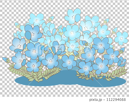 ネモフィラの花 112294088