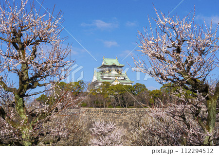 大阪城梅林から見る大阪城天守閣 朝の景色 大阪城梅林から見る大阪城天守閣 朝の景色 112294512